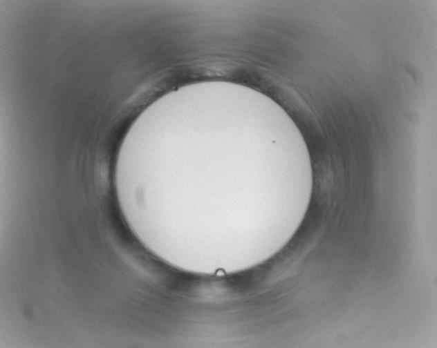 X0000115420262200911241354