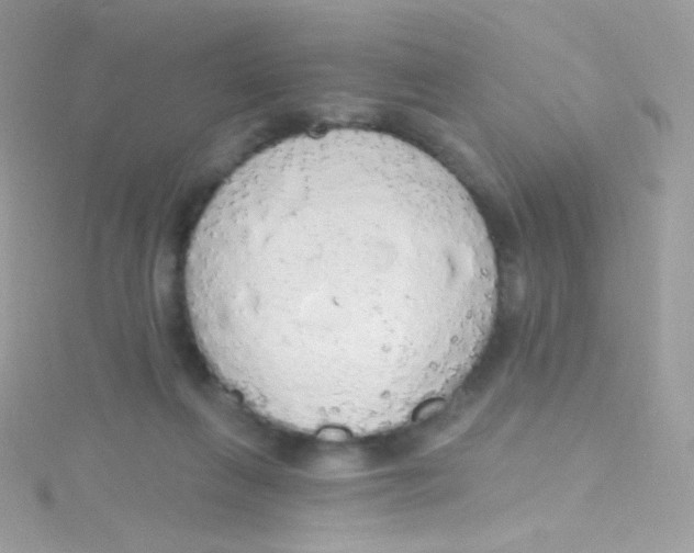 X0000115420263200911241354