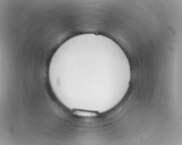 X0000115420264200911241354