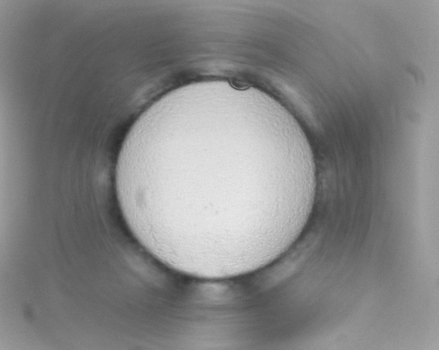 X0000115420265200911241354