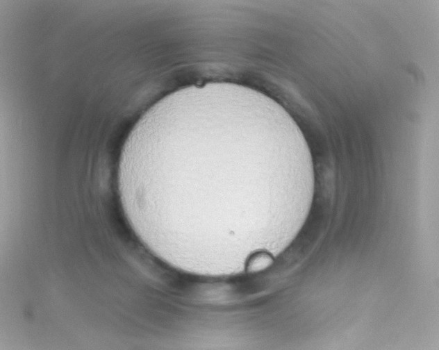 X0000115420266200911241354