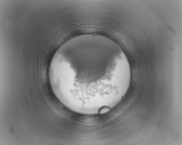 X0000115420267200911241354