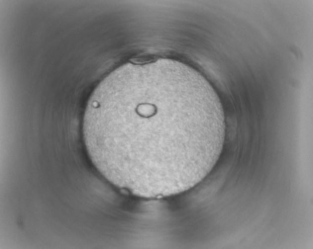 X0000115420269200911241354