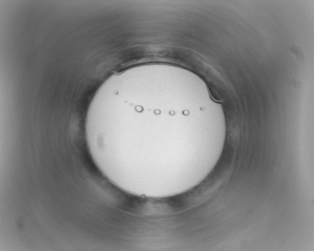 X0000115420270200911241354