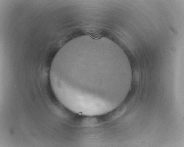 X0000115420271200911241354