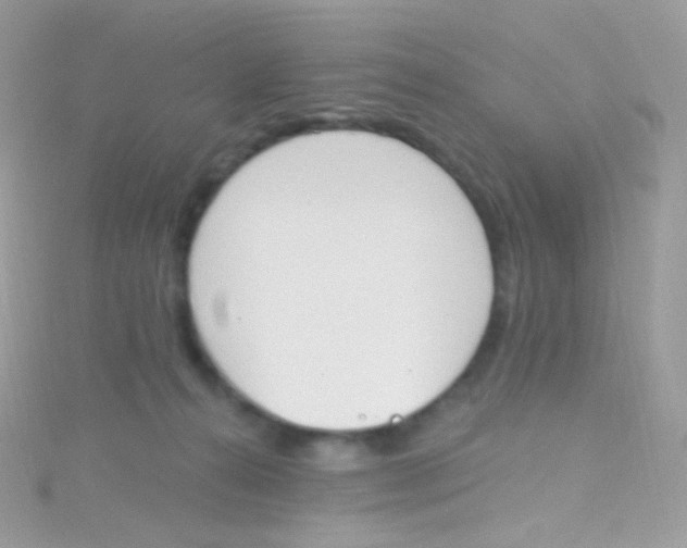 X0000115420272200911241354