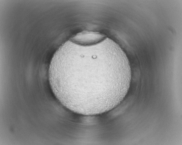 X0000115420273200911241354