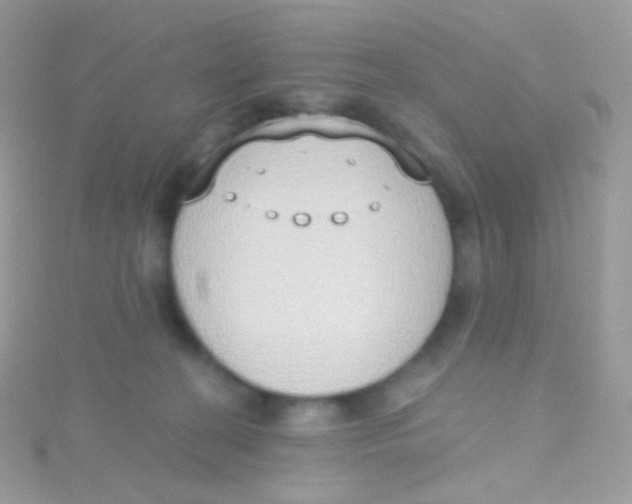 X0000115420274200911241354