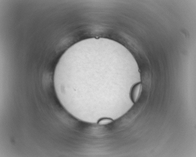 X0000115420278200911241354