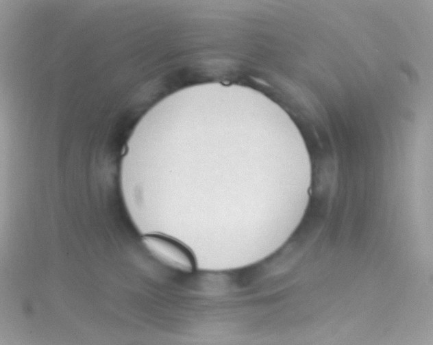 X0000115420279200911241354