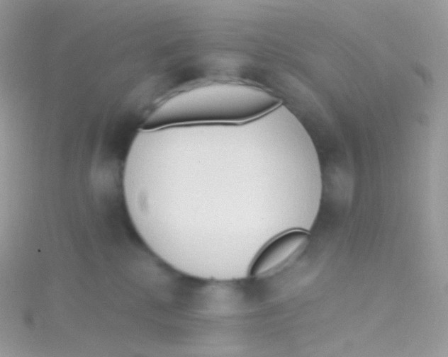 X0000115420280200911241354