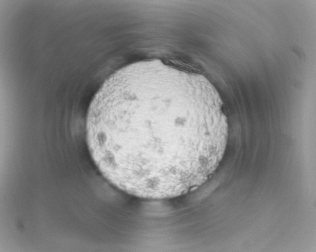 X0000115420281200911241354