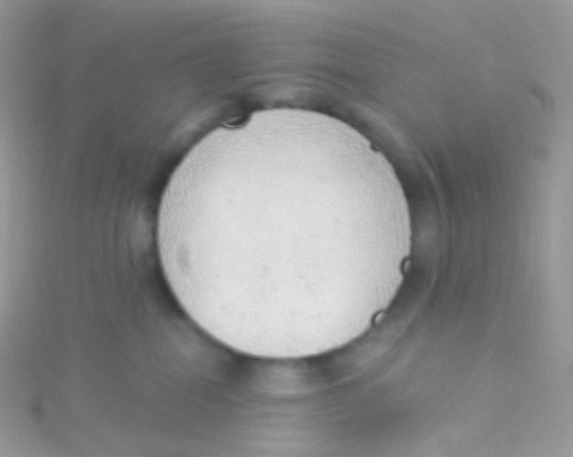 X0000115420282200911241354