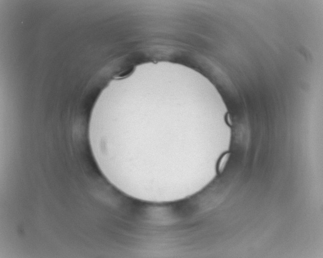 X0000115420283200911241354