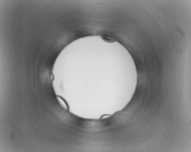 X0000115420286200911241354