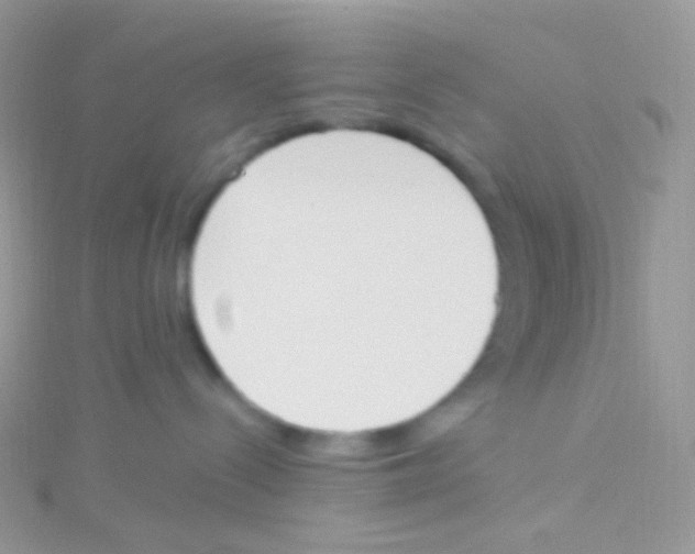 X0000115420288200911241354