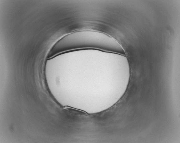 X0000115420289200911241354