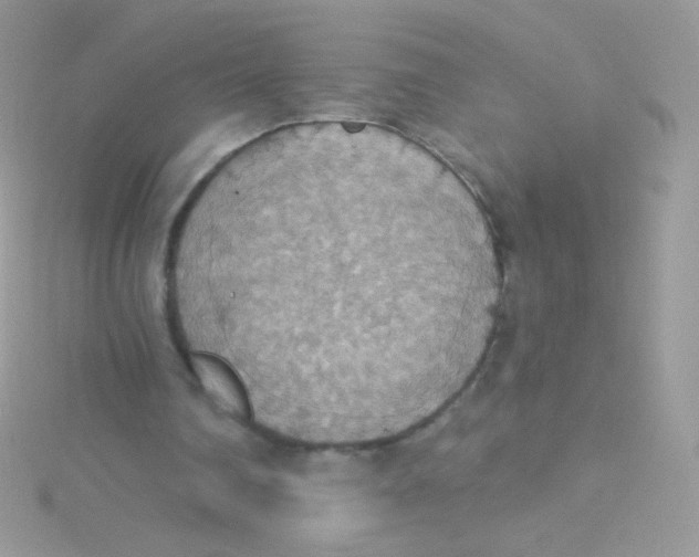 X0000115420290200911241354