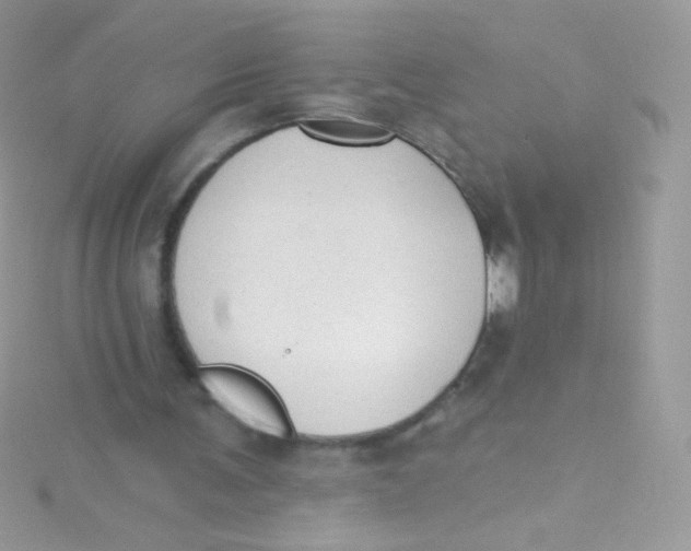 X0000115420291200911241354