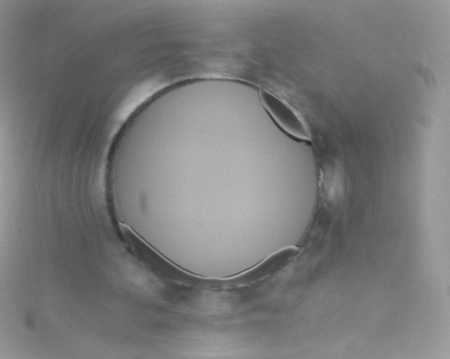 X0000115420292200911241354