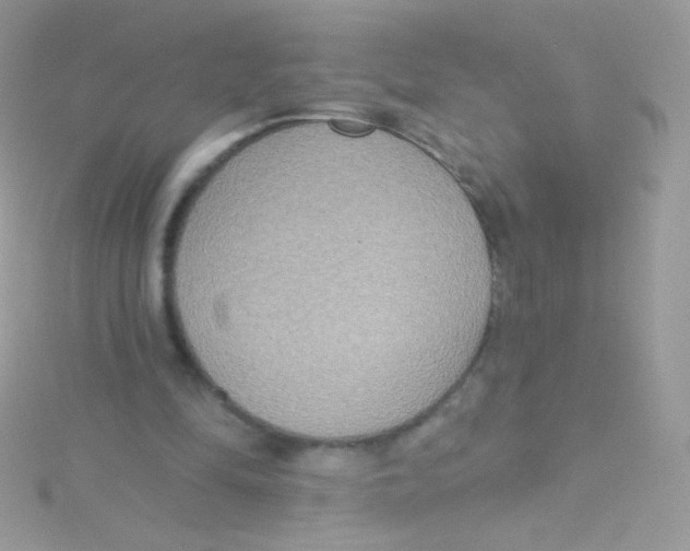 X0000115420294200911241354