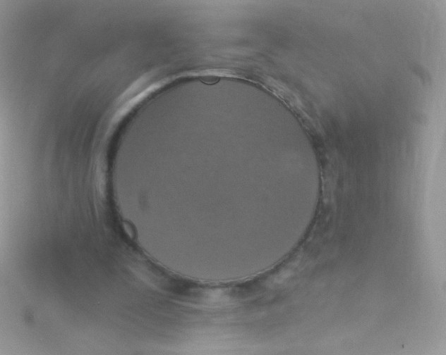 X0000115420295200911241354