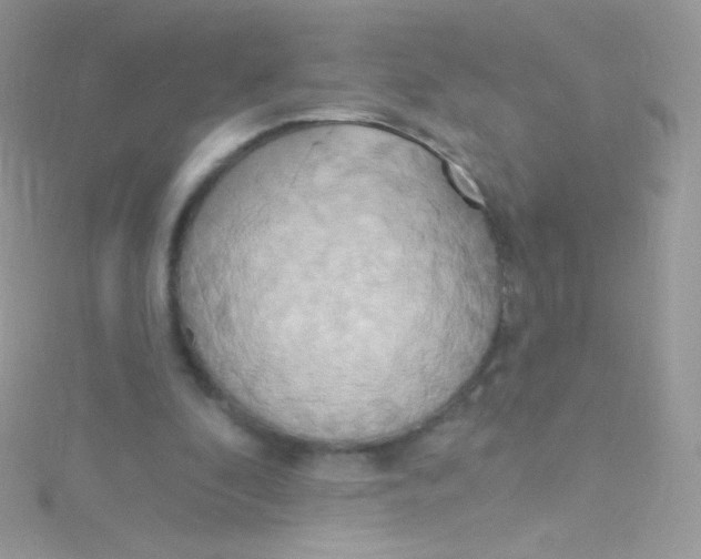 X0000115420296200911241354