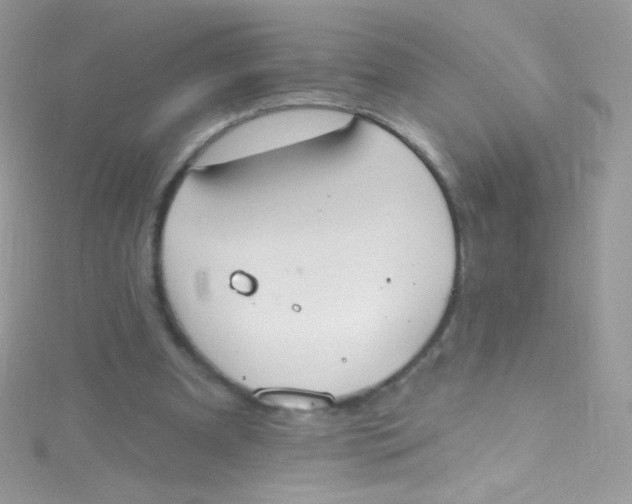 X0000115420297200911241354