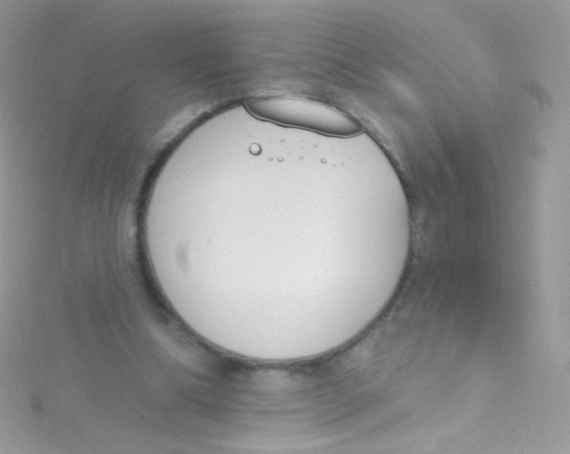 X0000115420298200911241354