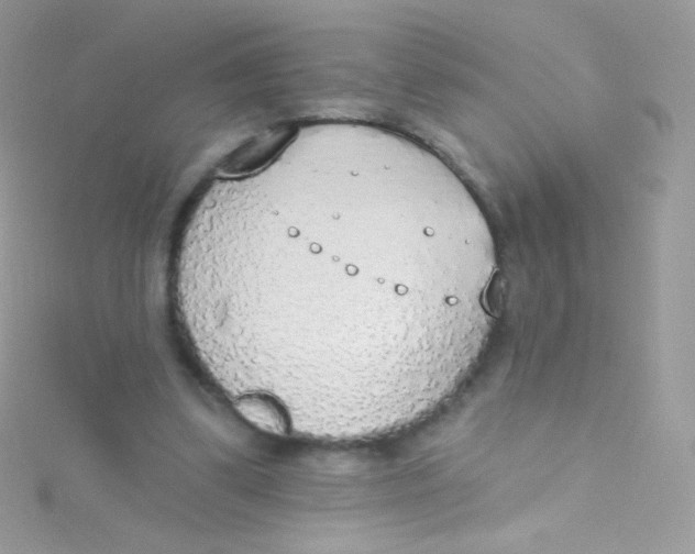 X0000115420299200911241354