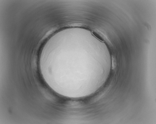 X0000115420300200911241354