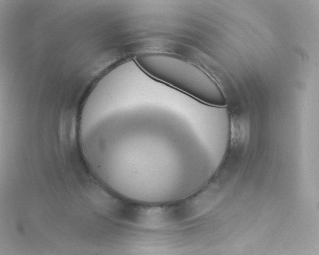 X0000115420301200911241353