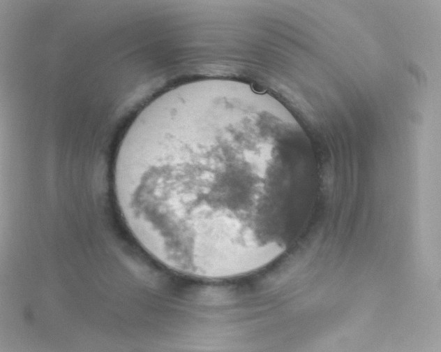 X0000115420303200911241353