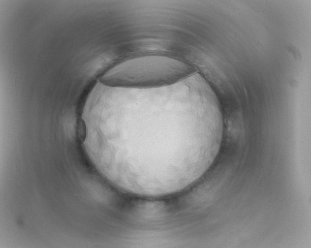 X0000115420304200911241353