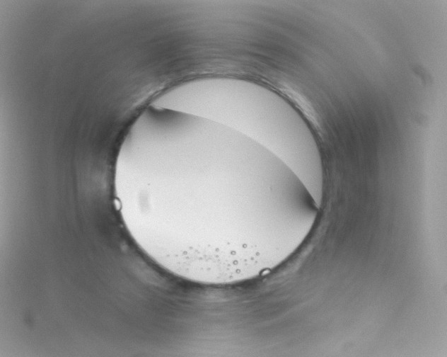 X0000115420305200911241353