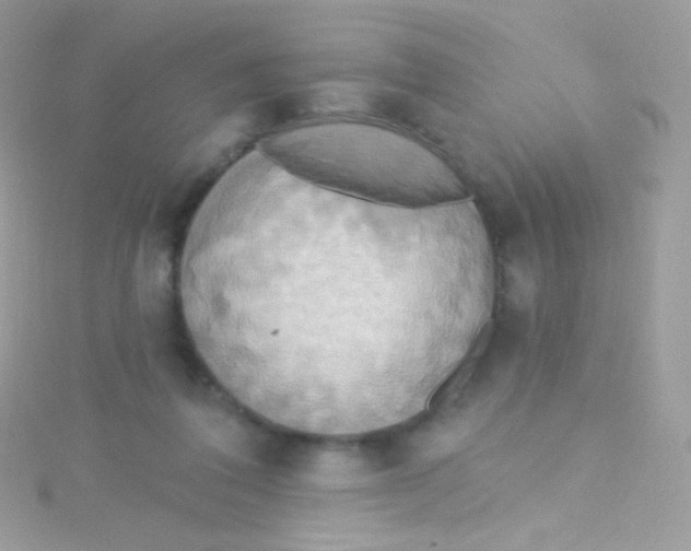 X0000115420308200911241353