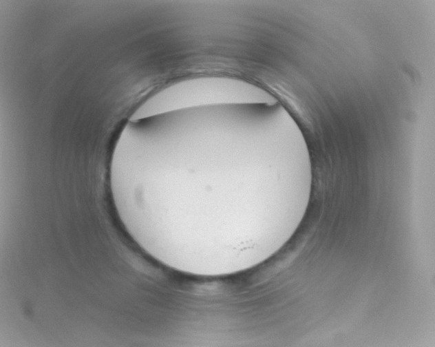 X0000115420309200911241353