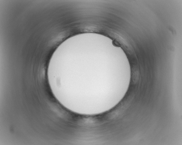 X0000115420310200911241353