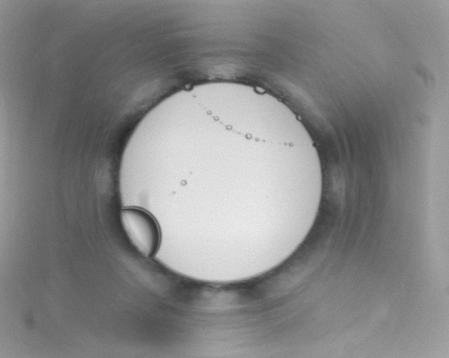 X0000115420311200911241353