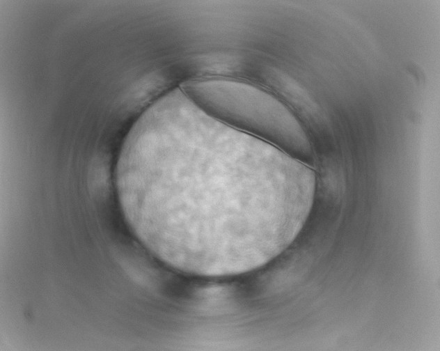 X0000115420312200911241353