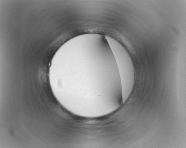 X0000115420313200911241353