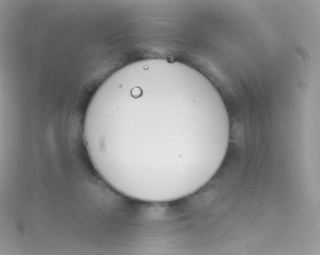 X0000115420318200911241353