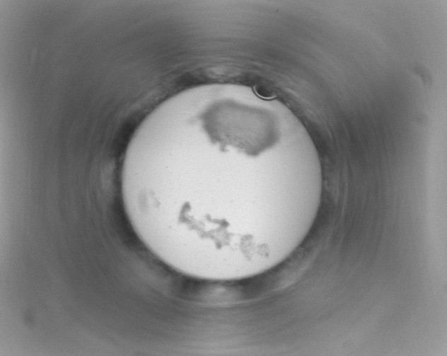 X0000115420319200911241353