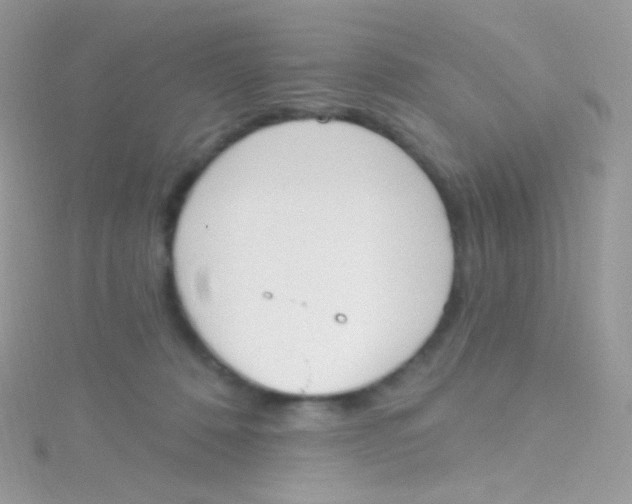 X0000115420320200911241353