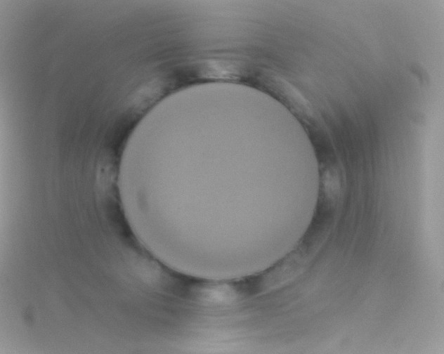 X0000115420322200911241353