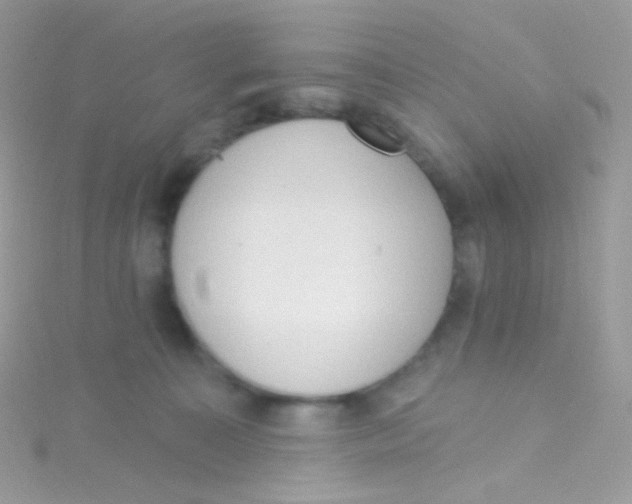 X0000115420323200911241353