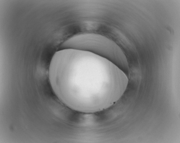 X0000115420324200911241353