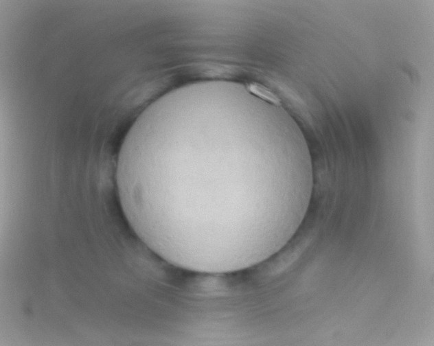 X0000115420325200911241353