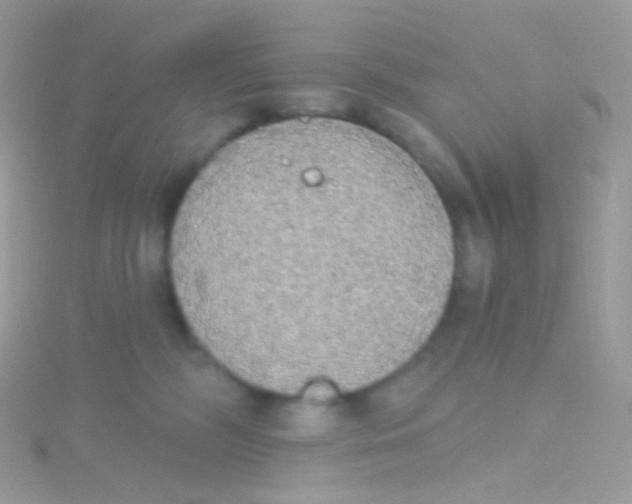 X0000115420326200911241353