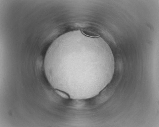 X0000115420328200911241353